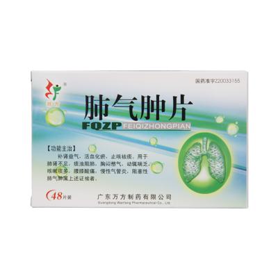 肺气肿片