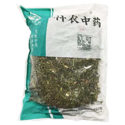 蒲公英