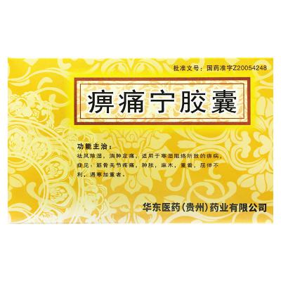 痹痛宁胶囊